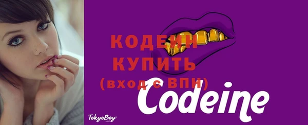 крисы Вяземский